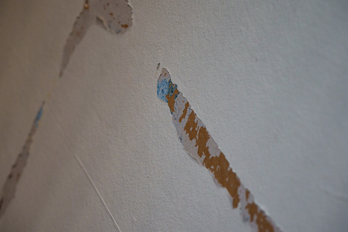 Commercial Water Damage service in Pensacola, FL